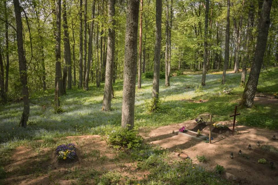 Photos of modest gravesites surrounded by a lush, green forest.